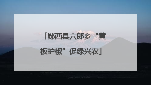 郧西县六郎乡“黄板护椒”促绿兴农